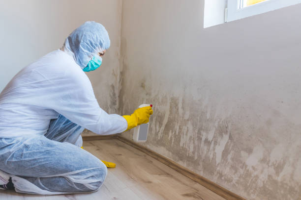 Best Bathroom Mold Remediation in Fort Hood, TX