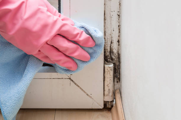 Fort Hood, TX Mold Remediation Company